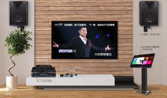 這個家庭卡拉ok系統,能讓你的客廳變成影音室哦